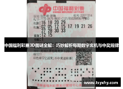 中国福利彩票3D图谜全解：巧妙解析每期数字玄机与中奖规律