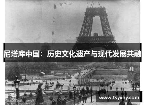 尼塔库中国：历史文化遗产与现代发展共融