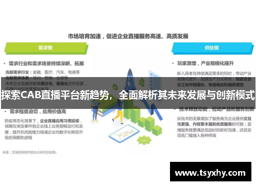 探索CAB直播平台新趋势，全面解析其未来发展与创新模式