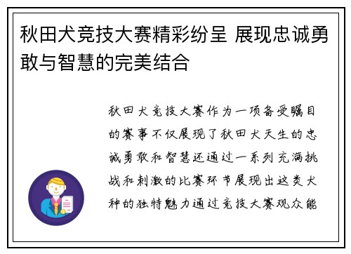 秋田犬竞技大赛精彩纷呈 展现忠诚勇敢与智慧的完美结合