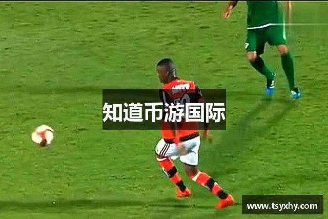 知道币游国际